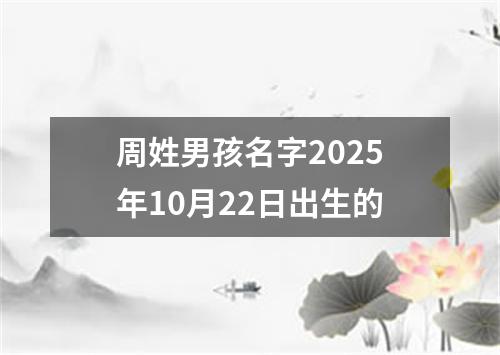 周姓男孩名字2025年10月22日出生的
